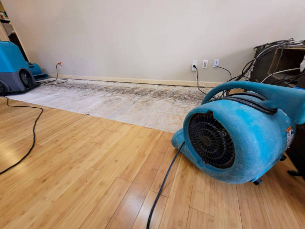 Professional Basement Flood Cleanup technician working in Orange City, IA